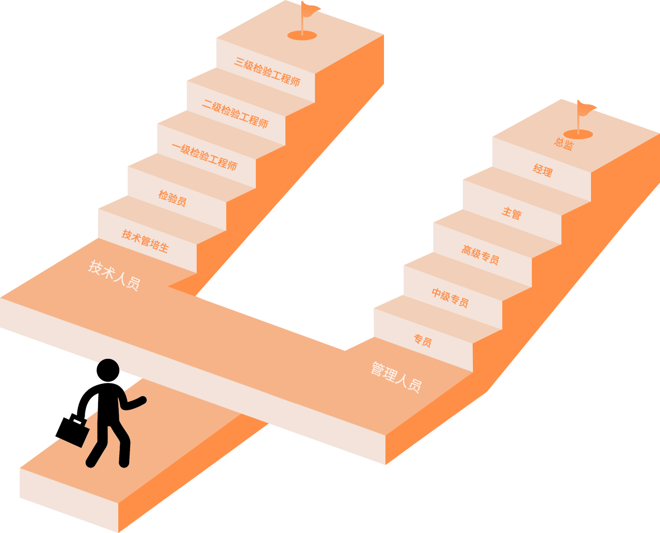 人才成长路径