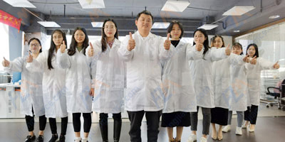 组织架构
